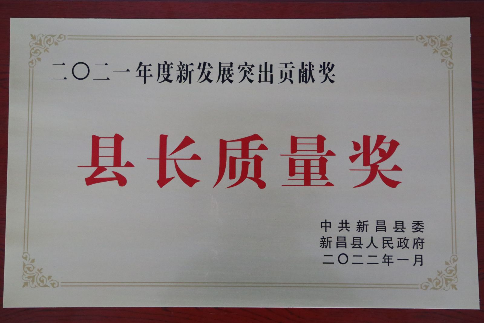 bibo必博(中国)有限公司官方网站