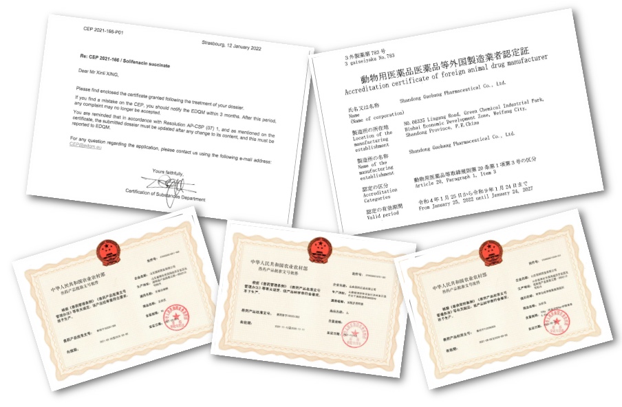 bibo必博(中国)有限公司官方网站
