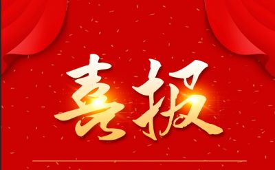 新年新喜报，，，，，bibo必博医药下属山东bibo必博药业喜获三项声誉